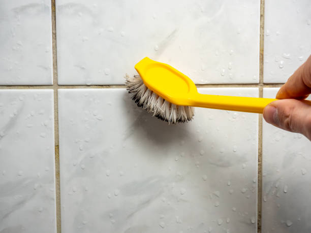 Best Mold Removal Company Near Me  in Countryside, VA