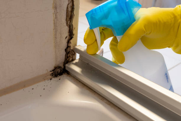 Best Residential Mold Removal  in Countryside, VA