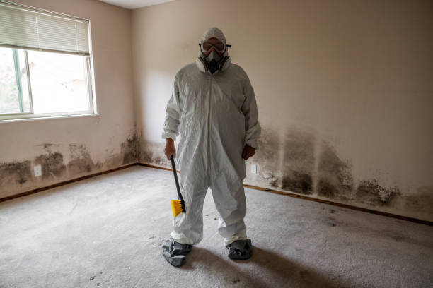 Best Residential Mold Removal  in Countryside, VA