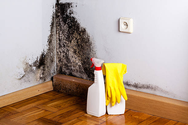Best Crawl Space Mold Removal  in Countryside, VA